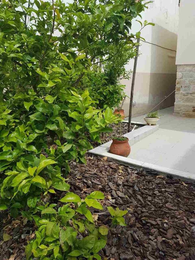 נאה רודה Mangoseaview Home1 מראה חיצוני תמונה